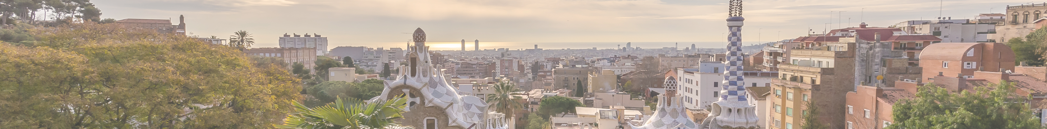 Business WithUs Attraction Activities