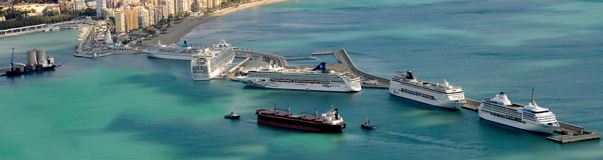 Lorem Ipsum Dummy Text Wrap1